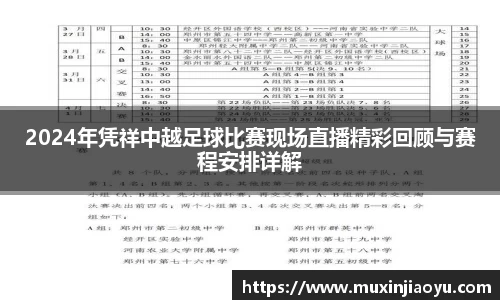 2024年凭祥中越足球比赛现场直播精彩回顾与赛程安排详解