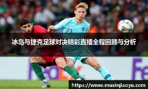 冰岛与捷克足球对决精彩直播全程回顾与分析