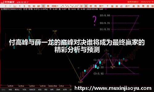 付高峰与薛一龙的巅峰对决谁将成为最终赢家的精彩分析与预测
